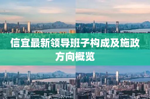 信宜最新領(lǐng)導(dǎo)班子構(gòu)成及施政方向概覽