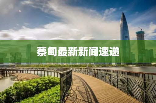 蔡甸最新新聞速遞