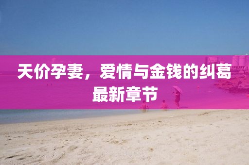 天價(jià)孕妻，愛情與金錢的糾葛最新章節(jié)