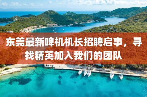 東莞最新啤機機長招聘啟事，尋找精英加入我們的團隊