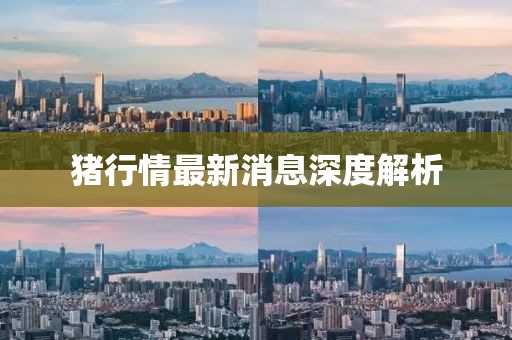 豬行情最新消息深度解析