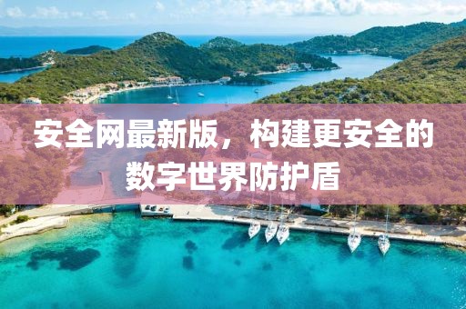 安全網(wǎng)最新版，構(gòu)建更安全的數(shù)字世界防護(hù)盾