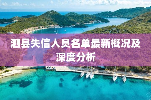泗縣失信人員名單最新概況及深度分析