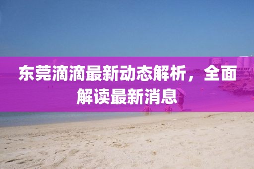 東莞滴滴最新動態(tài)解析，全面解讀最新消息