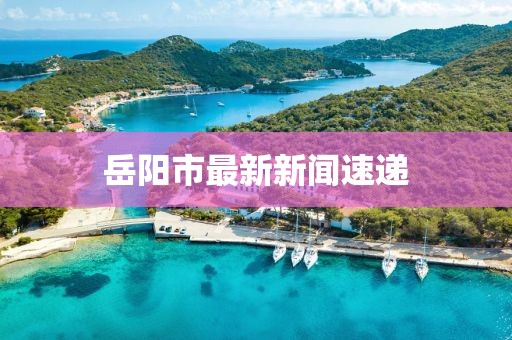 岳陽市最新新聞速遞
