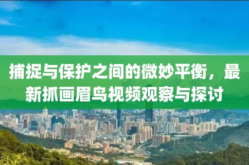 捕捉與保護之間的微妙平衡，最新抓畫眉鳥視頻觀察與探討