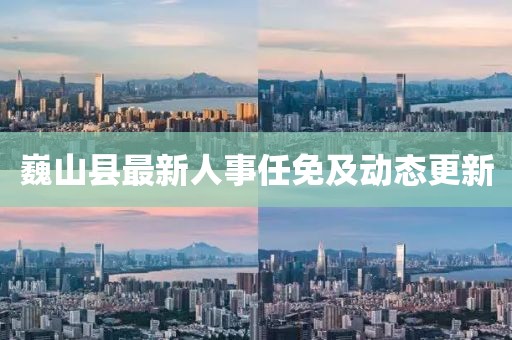 巍山縣最新人事任免及動態(tài)更新