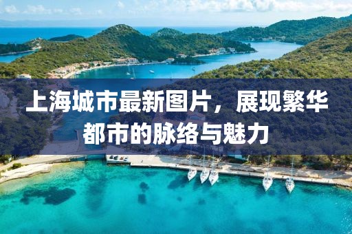 云九卿 第14頁