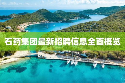 石藥集團最新招聘信息全面概覽