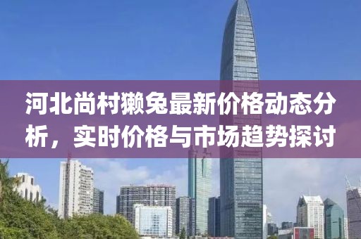 河北尚村獺兔最新價格動態(tài)分析，實時價格與市場趨勢探討