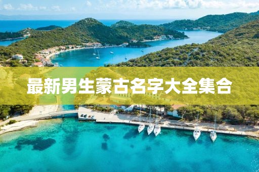 最新男生蒙古名字大全集合