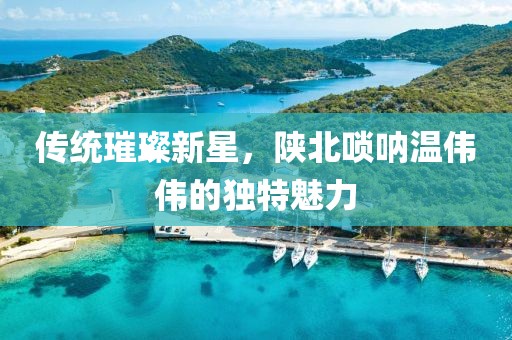 傳統(tǒng)璀璨新星，陜北嗩吶溫偉偉的獨(dú)特魅力