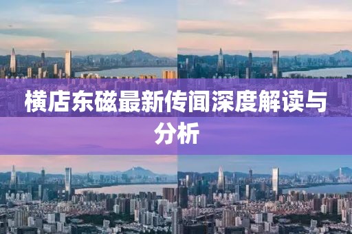 橫店東磁最新傳聞深度解讀與分析
