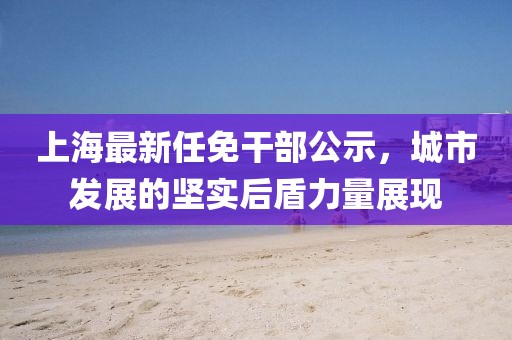 上海最新任免干部公示，城市發(fā)展的堅實后盾力量展現(xiàn)