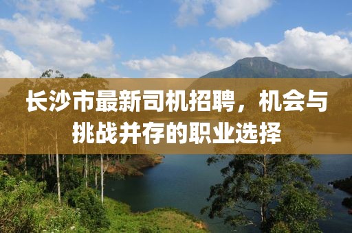 長沙市最新司機招聘，機會與挑戰(zhàn)并存的職業(yè)選擇