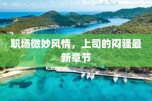 職場微妙風(fēng)情，上司的悶騷最新章節(jié)