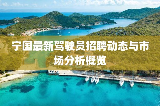 寧國(guó)最新駕駛員招聘動(dòng)態(tài)與市場(chǎng)分析概覽