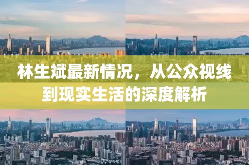 林生斌最新情況，從公眾視線到現(xiàn)實(shí)生活的深度解析