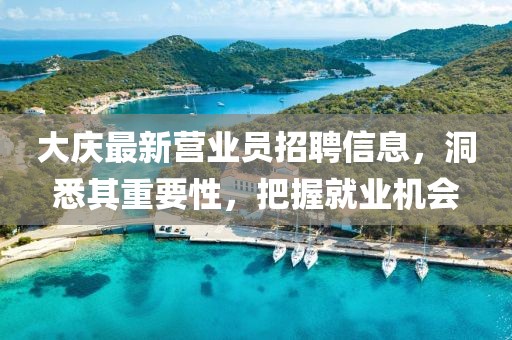大慶最新?tīng)I(yíng)業(yè)員招聘信息，洞悉其重要性，把握就業(yè)機(jī)會(huì)