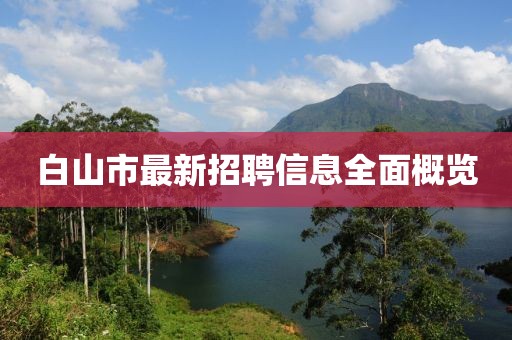 白山市最新招聘信息全面概覽