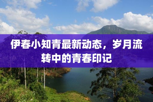 伊春小知青最新動(dòng)態(tài)，歲月流轉(zhuǎn)中的青春印記