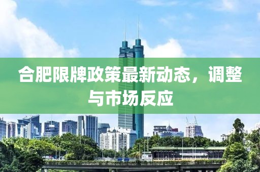 合肥限牌政策最新動態(tài)，調(diào)整與市場反應(yīng)