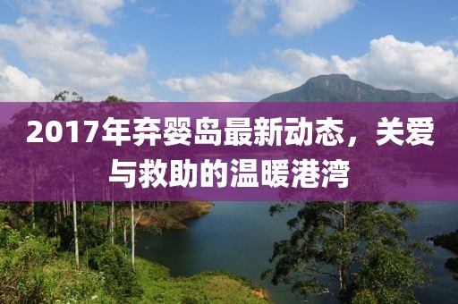 2017年棄嬰島最新動態(tài)，關愛與救助的溫暖港灣