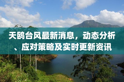 天鷗臺(tái)風(fēng)最新消息，動(dòng)態(tài)分析、應(yīng)對(duì)策略及實(shí)時(shí)更新資訊