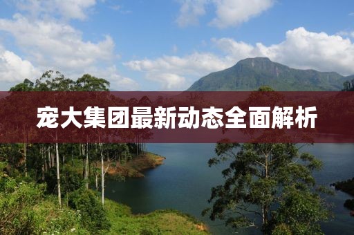 寵大集團(tuán)最新動(dòng)態(tài)全面解析