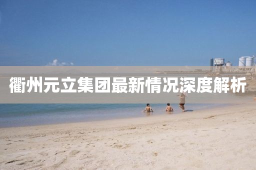 衢州元立集團(tuán)最新情況深度解析