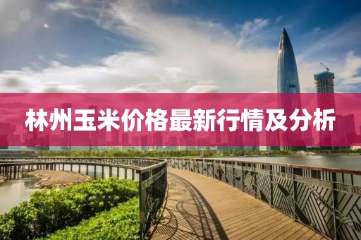 林州玉米價(jià)格最新行情及分析