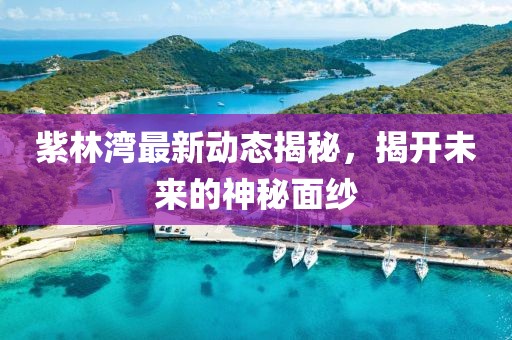 紫林灣最新動(dòng)態(tài)揭秘，揭開未來的神秘面紗