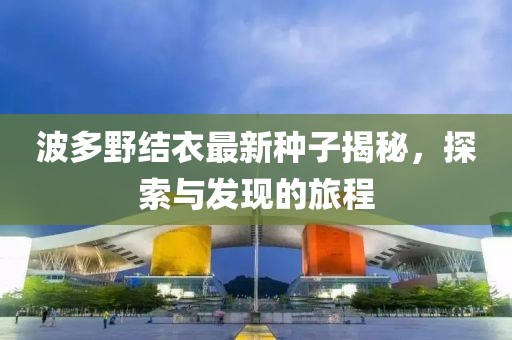 波多野結衣最新種子揭秘，探索與發(fā)現(xiàn)的旅程