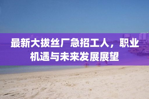 最新大拔絲廠急招工人，職業(yè)機遇與未來發(fā)展展望