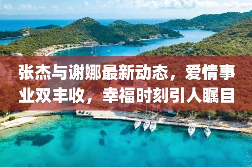 張杰與謝娜最新動態(tài)，愛情事業(yè)雙豐收，幸福時刻引人矚目