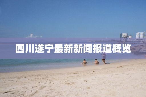 四川遂寧最新新聞報(bào)道概覽