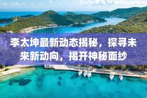 李太坤最新動(dòng)態(tài)揭秘，探尋未來新動(dòng)向，揭開神秘面紗