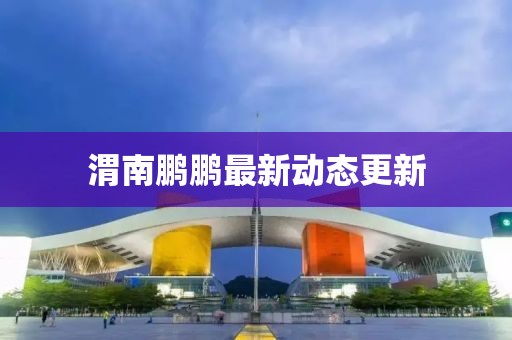 渭南鵬鵬最新動態(tài)更新