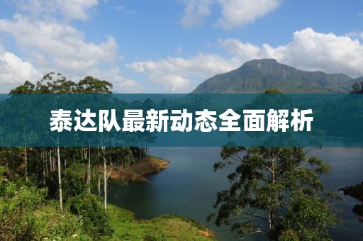 泰達(dá)隊(duì)最新動(dòng)態(tài)全面解析