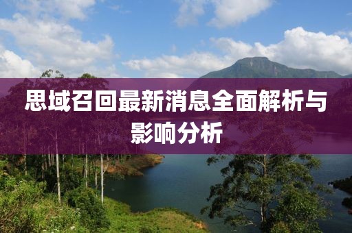 思域召回最新消息全面解析與影響分析