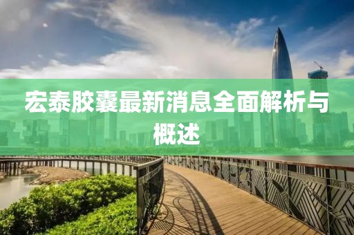 宏泰膠囊最新消息全面解析與概述