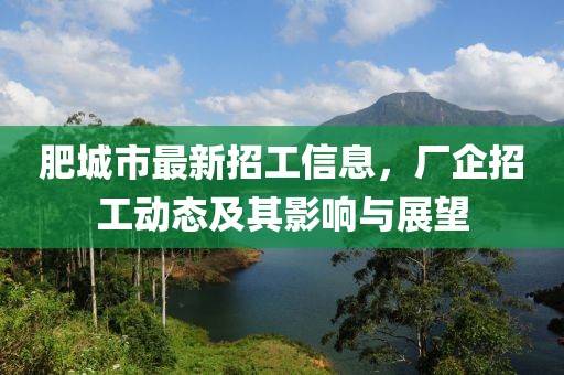 肥城市最新招工信息，廠企招工動態(tài)及其影響與展望