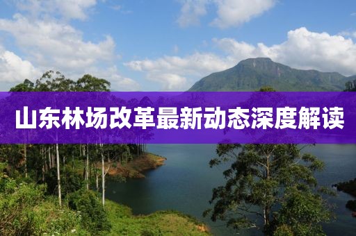 山東林場(chǎng)改革最新動(dòng)態(tài)深度解讀