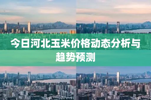 今日河北玉米價(jià)格動(dòng)態(tài)分析與趨勢預(yù)測