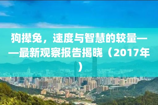 狗攆兔，速度與智慧的較量——最新觀察報告揭曉（2017年）