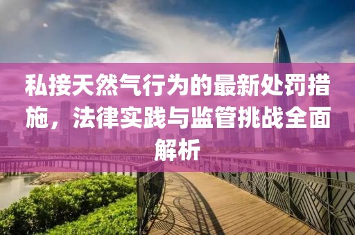 私接天然氣行為的最新處罰措施，法律實踐與監(jiān)管挑戰(zhàn)全面解析