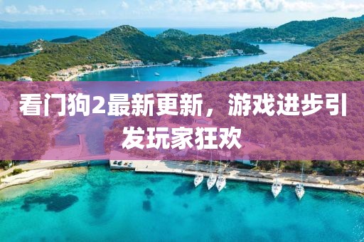 看門狗2最新更新，游戲進(jìn)步引發(fā)玩家狂歡