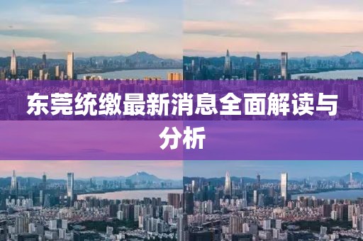 東莞統(tǒng)繳最新消息全面解讀與分析