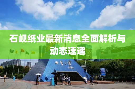 石峴紙業(yè)最新消息全面解析與動態(tài)速遞