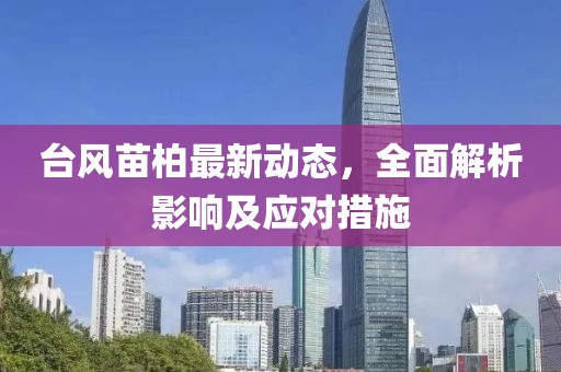 臺風苗柏最新動態(tài)，全面解析影響及應(yīng)對措施
